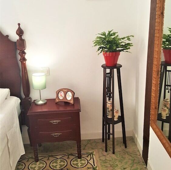 פנסיון Los Canaritos