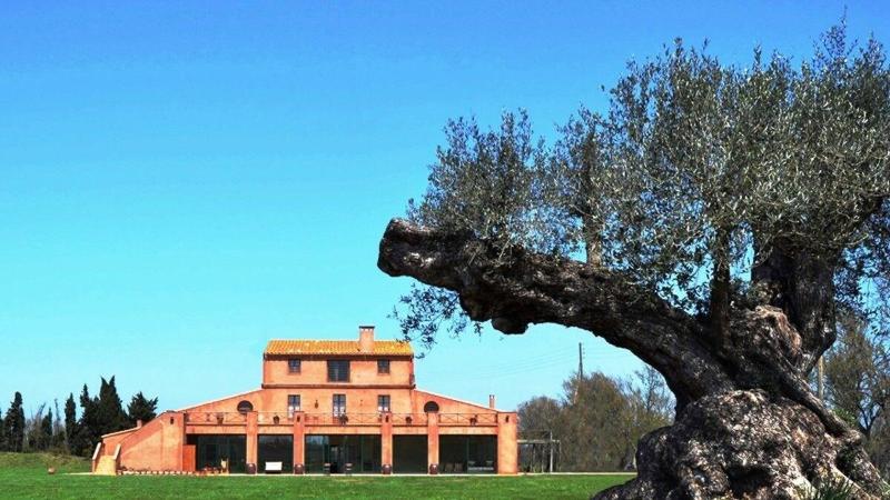 بنسيون Mas Del Mar