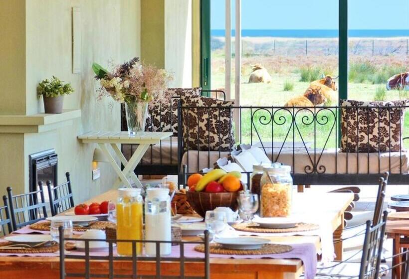 بنسيون Mas Del Mar