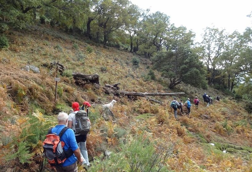 بنسيون Rural La Covacha