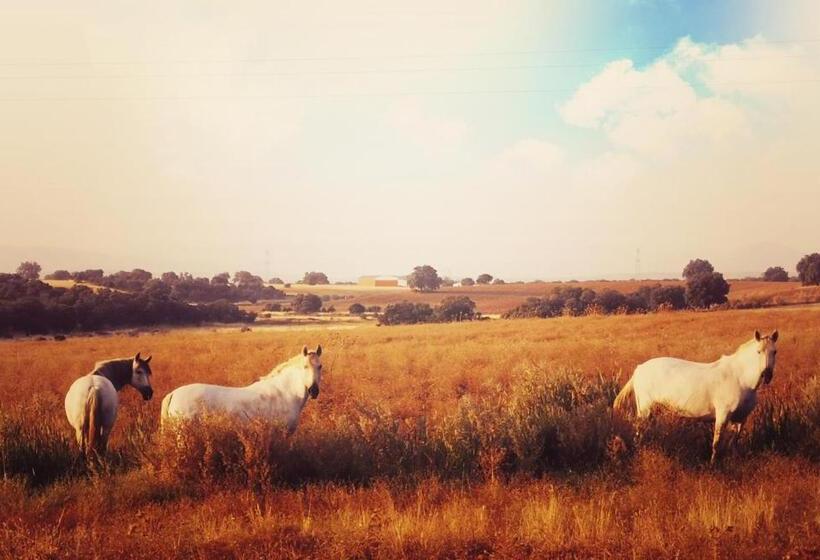 Spa Complejo Rural Las Abiertas
