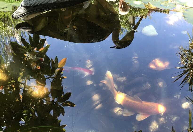 Villa Los Halcones Sotogrande Golf