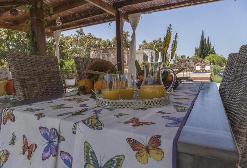 Yourhouse Es Moyà Des Pins