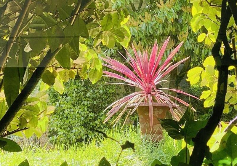 مبيت وإفطار Villa Talisman