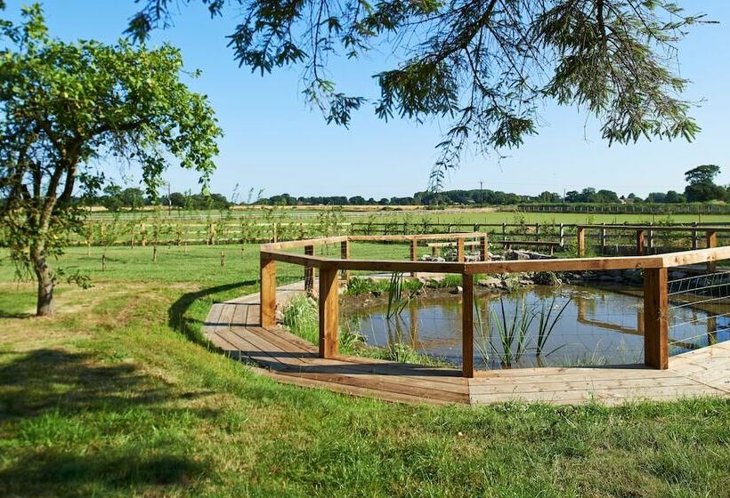 Holtby Grange Cottages