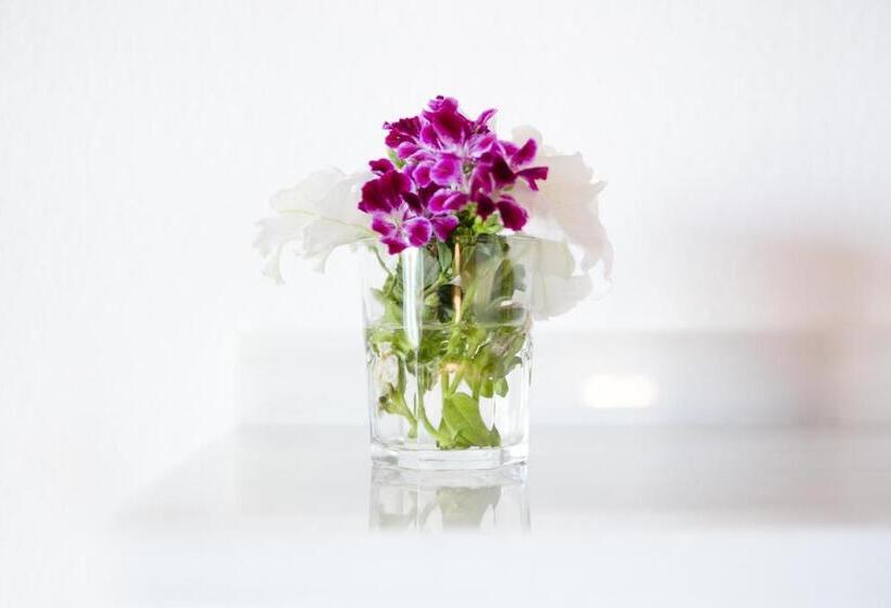 Hostal Alhambra  Adults Only