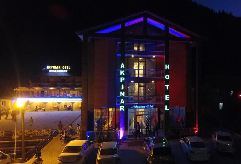 ホテル Akpinar
