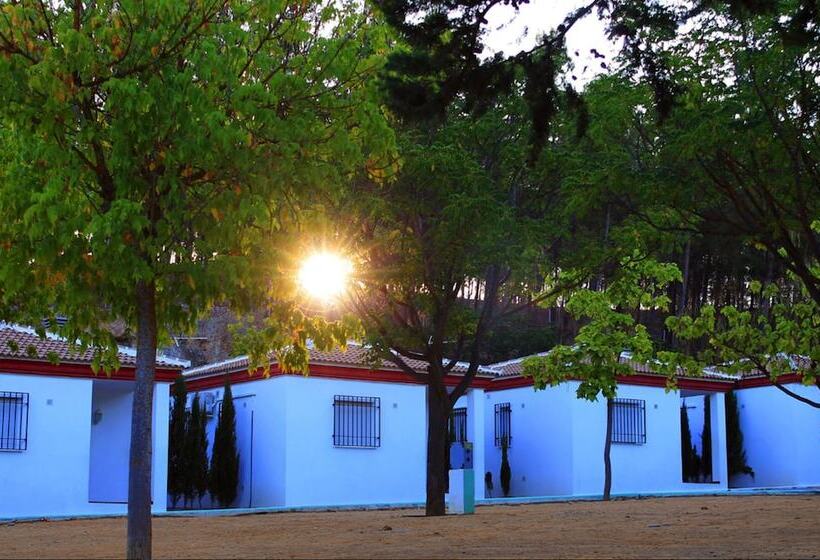 Отель Bungalows Rafting Benamejí