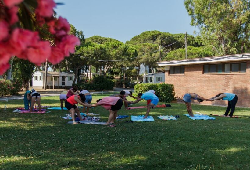 בית מלון כפרי Camping 3 Estrellas