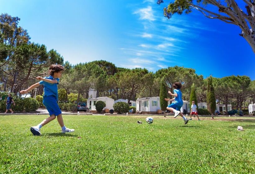 בית מלון כפרי Camping 3 Estrellas