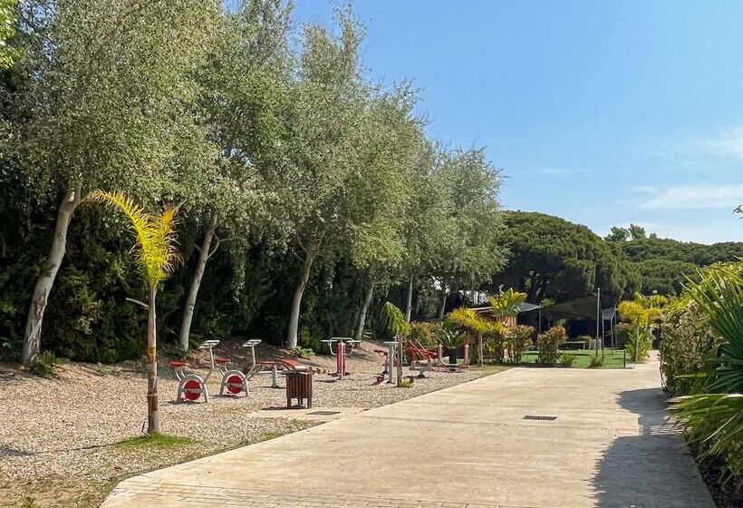 酒店 Camping 3 Estrellas