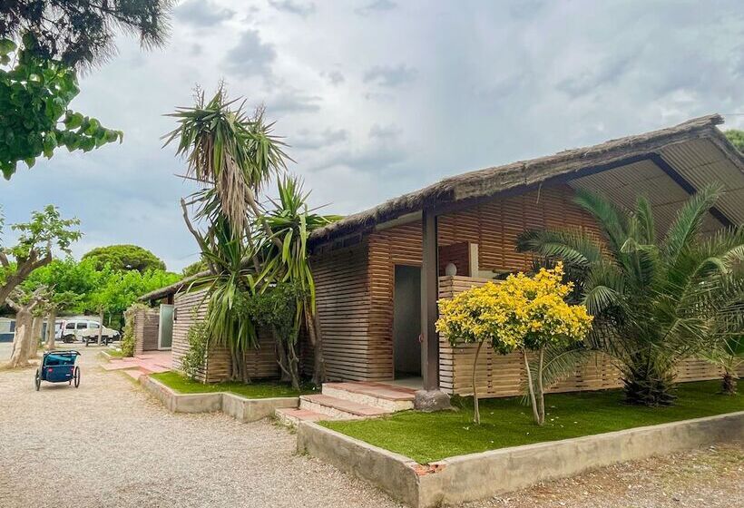 酒店 Camping 3 Estrellas