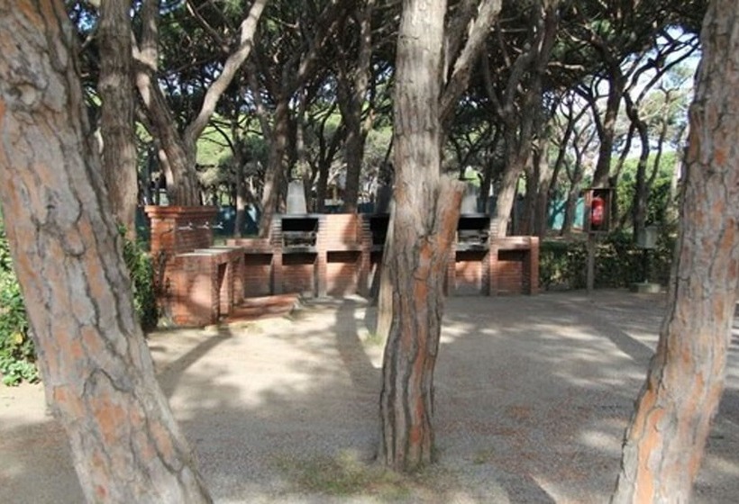 酒店 Camping 3 Estrellas