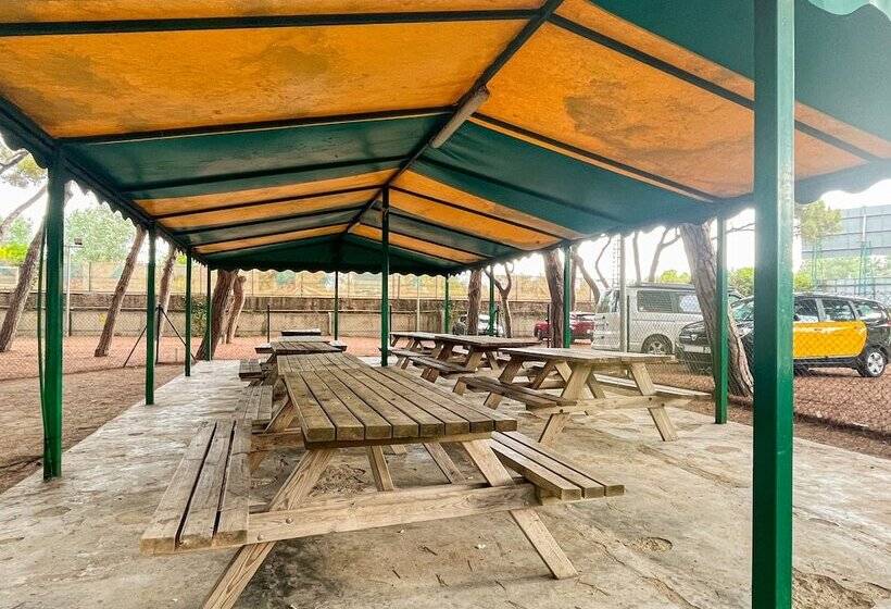 酒店 Camping 3 Estrellas