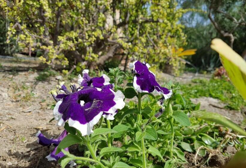 ホテル Centro Vacacional Macenas