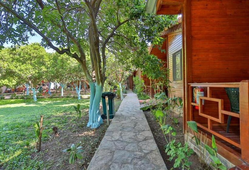 בית מלון כפרי Cinderella Pansiyon