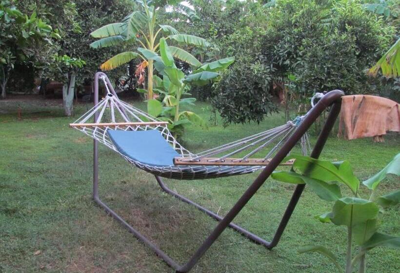 בית מלון כפרי Cinderella Pansiyon