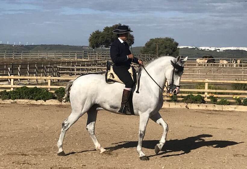 호텔 Cortijo El Indiviso