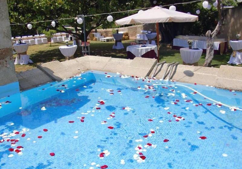 Отель Masia Can Vive