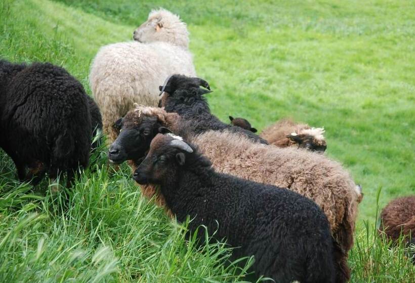 교외 호텔 La Casona De Amaido