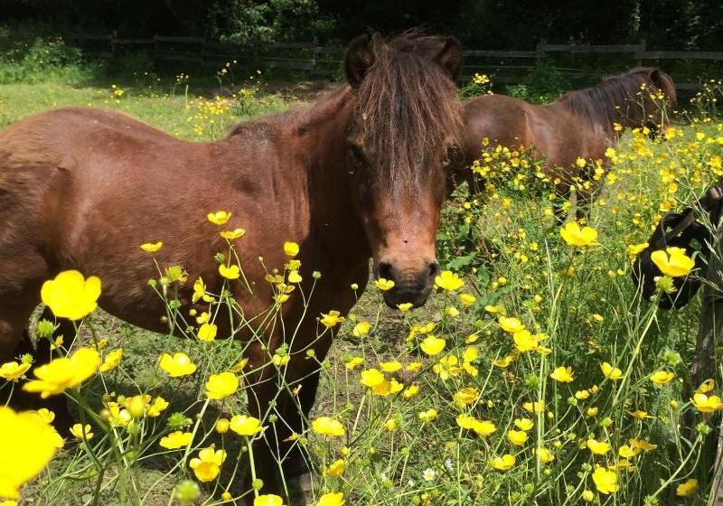 Le Pavillon De St. Agnan