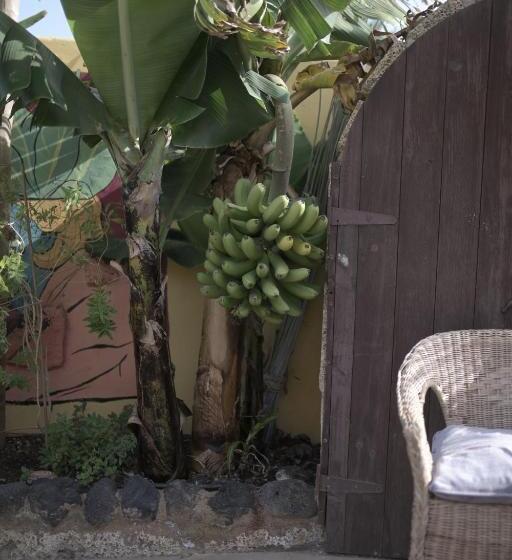 Los Amigos Nest Hostel