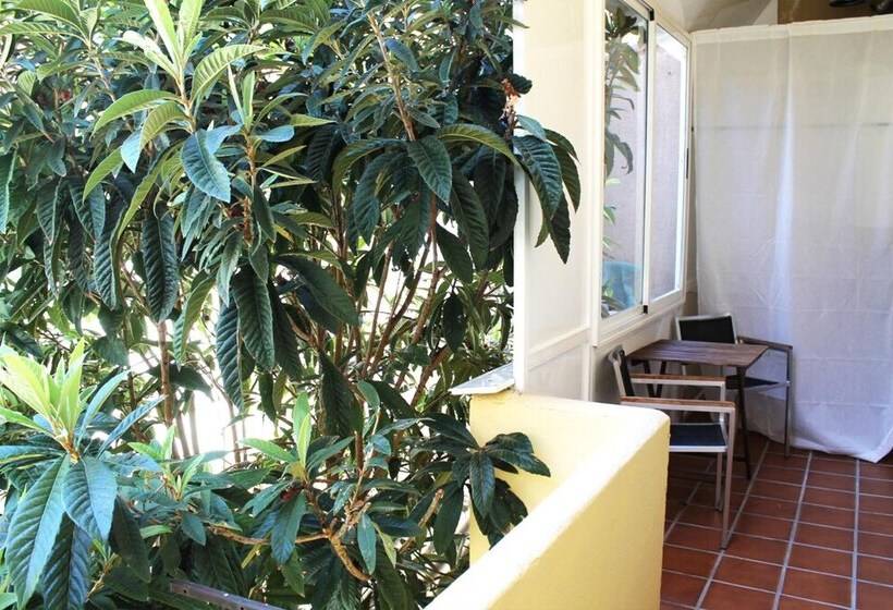 پانسیون Alevia