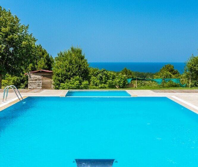 Agva Teras Garden Hotel & Bungalow