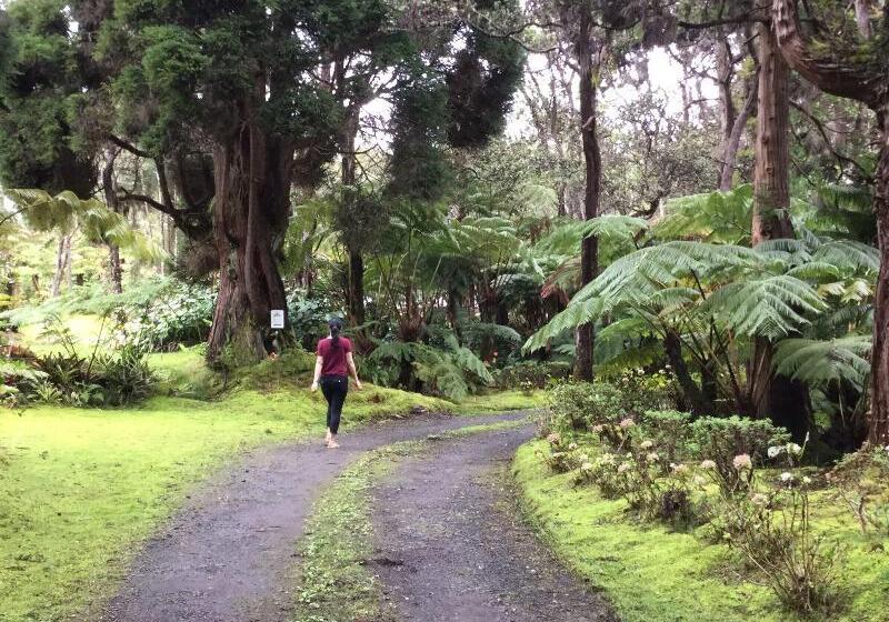 Hale  Ohu Bed & Breakfast