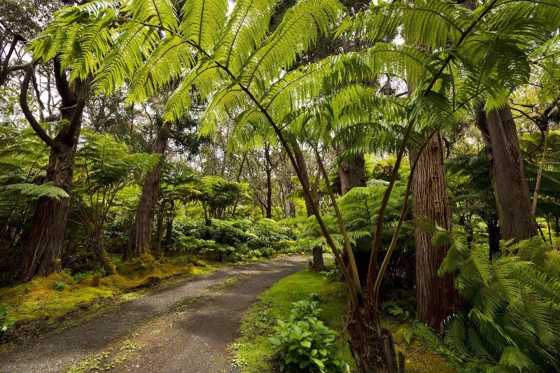 Hale Ohu Bed & Breakfast