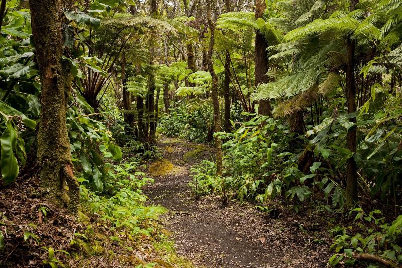 Hale  Ohu Bed & Breakfast