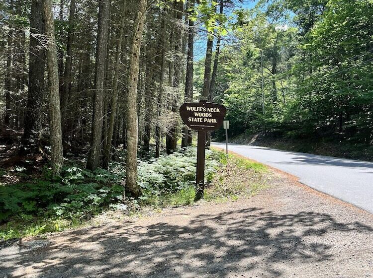 فندق فئة نجمة واحدة The Orchard House & Cafe