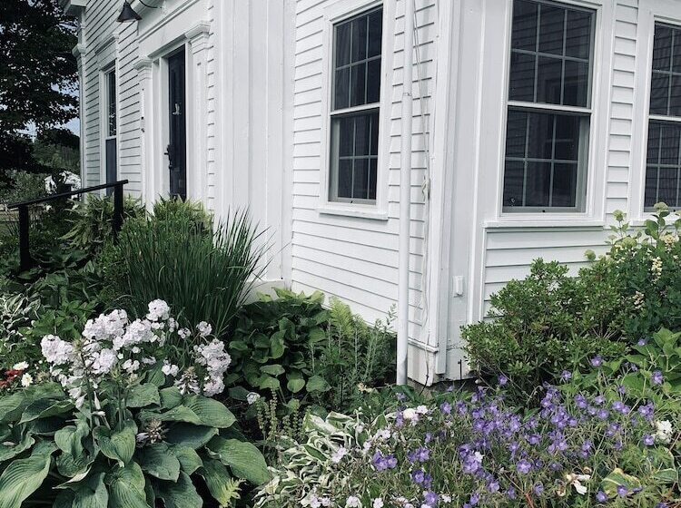 فندق فئة نجمة واحدة The Orchard House & Cafe