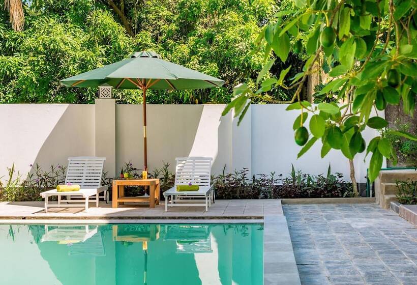 هتل Fig Tree Boutique Villa