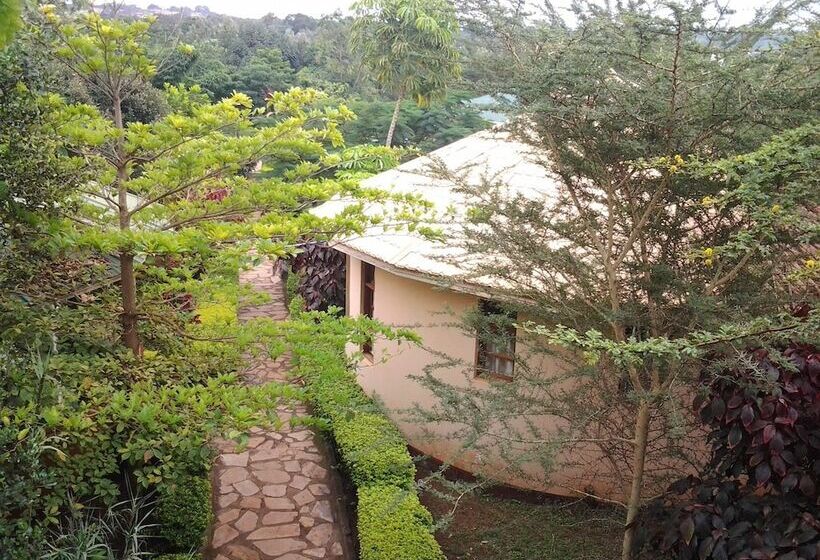 هتل Flamingo Safari Lodge