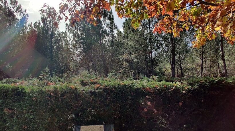 ホテル Gh Vacances