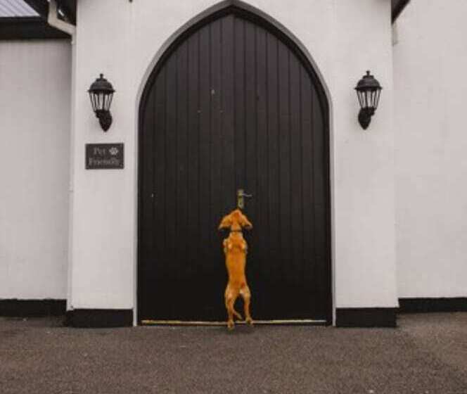 호텔 Inn On The Coast