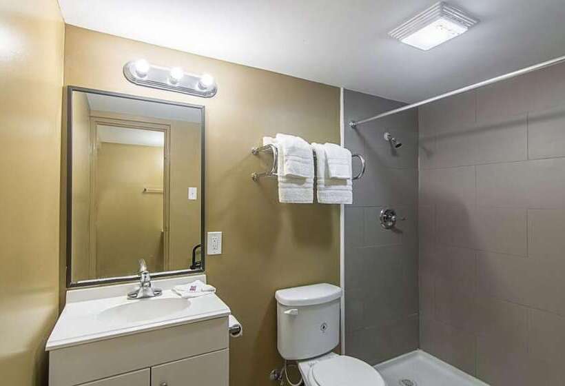 호텔 Lonestar Inn And Suites