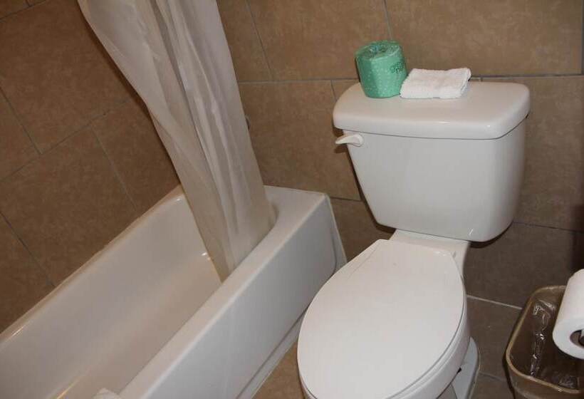 호텔 Lonestar Inn And Suites