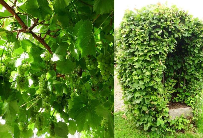 Kenilworth Garden Accomodation