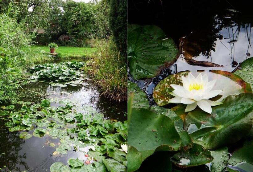 Kenilworth Garden Accomodation