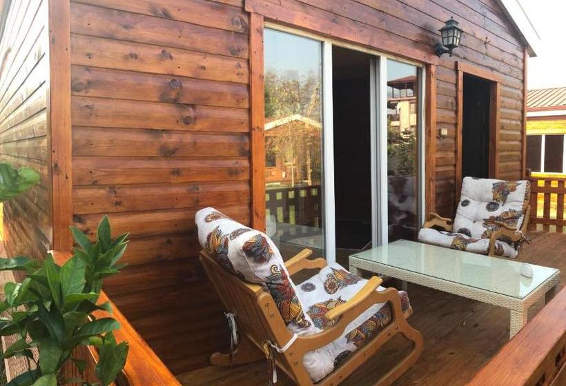 Alaska Bungalow Sapanca