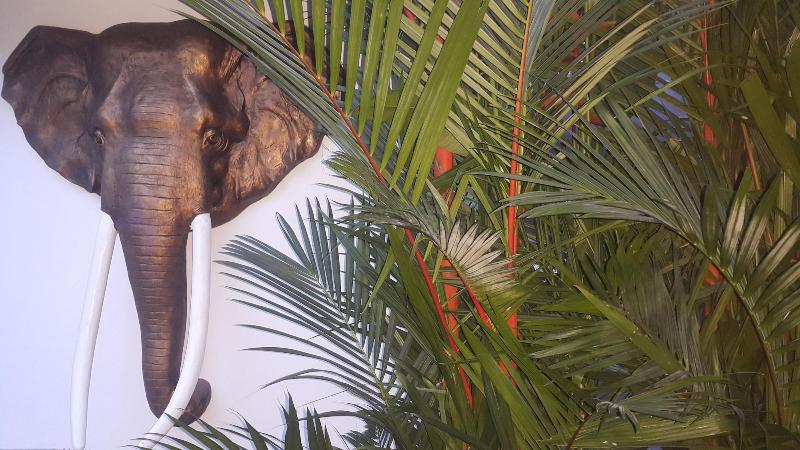 بنسيون Blue Dream Villa