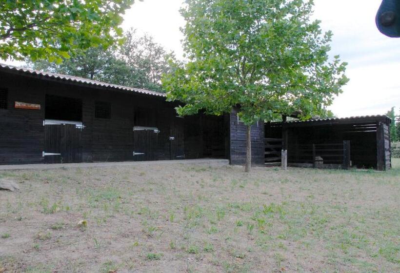 Пансион Gites La Tulisse à Vaison La Romaine