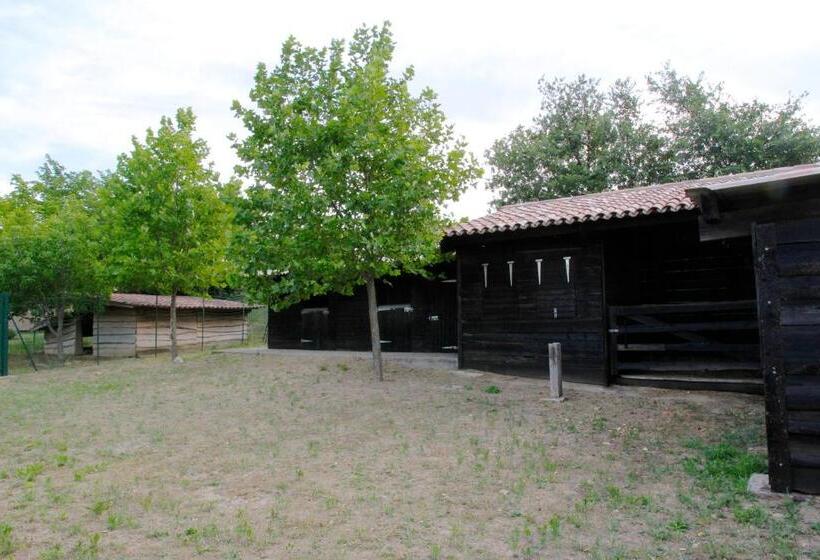 Пансион Gites La Tulisse à Vaison La Romaine
