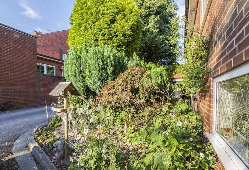 פנסיון Ivy Guest House