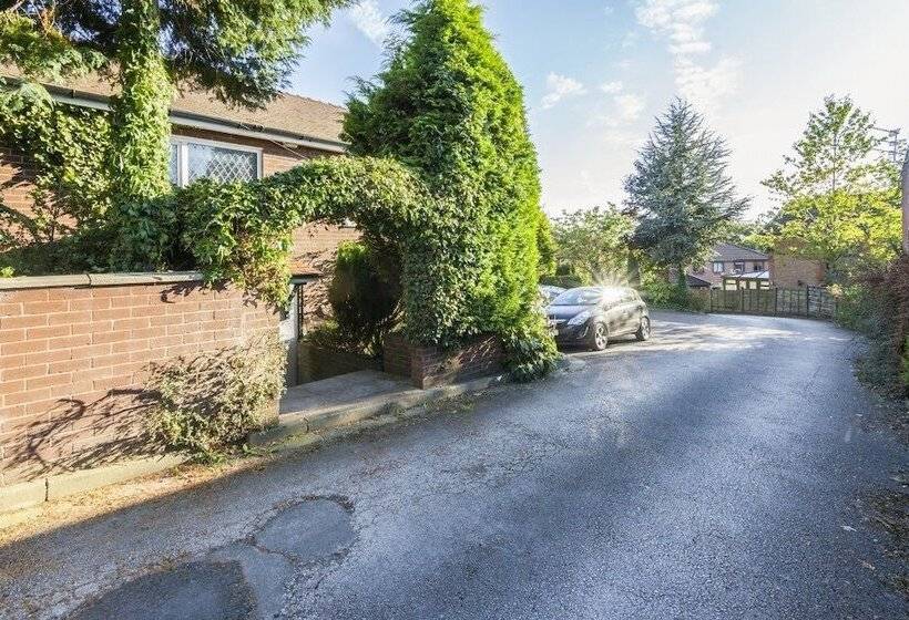 פנסיון Ivy Guest House