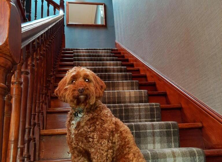 膳宿费 No 45, Ballater