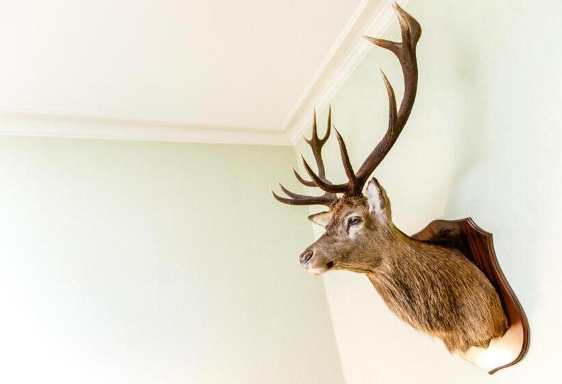 膳宿费 No 45, Ballater