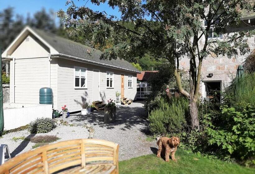 膳宿费 No 45, Ballater